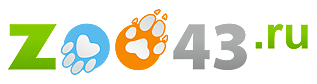 43 Магазин Киров